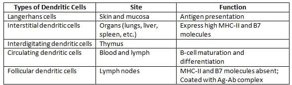 Structure of Immune System and Immune Response Chapter Notes | Microbiology - NEET PG
