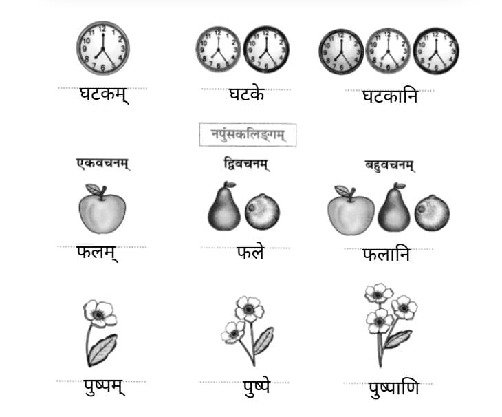 Worksheet Solutions : एष: क: ? एषा का ? एतत् किम् ? | Sanskrit for class 6
