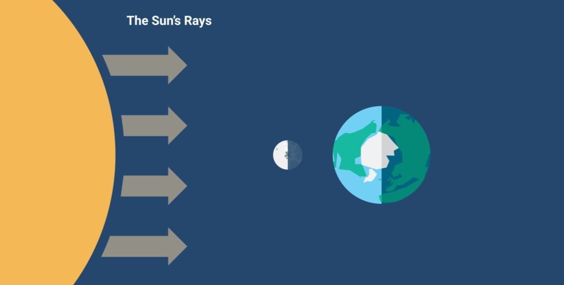 MCQ (Solution) - Keeping Time with the Skies | Science Curiosity Class 8 -  New NCERT