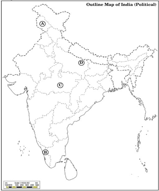 Previous Year Questions 2025