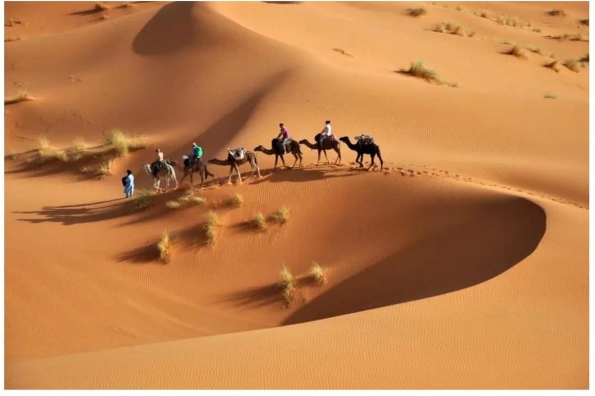 Life in Desert regions