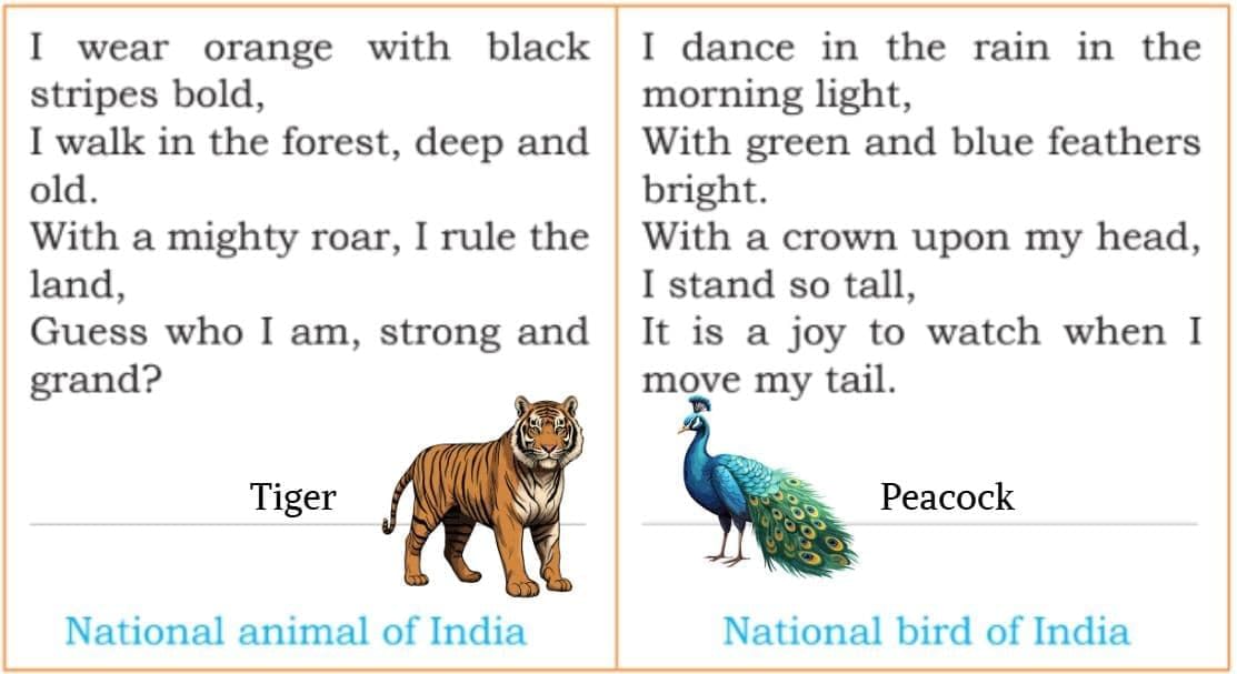 Our Vibrant Country NCERT Solutions | Our Wondrous World  Class 5 - New NCERT