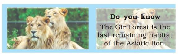 Class 9 Geography Chapter 5 Notes - Natural Vegetation and Wildlife