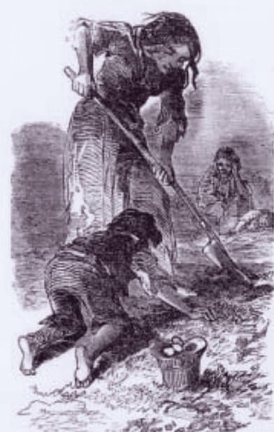 Conquest, Disease, and Trade