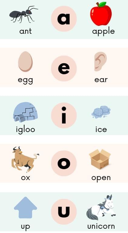 What are Vowel Words | English for LKG