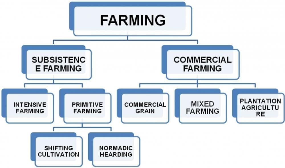 Class 8 Geography Chapter 4 Notes - Agriculture
