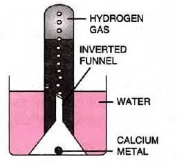 Study Of The First Element – Hydrogen Chapter Notes | Chemistry Class 9 ICSE