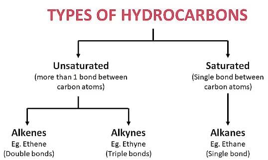 Carbon Compounds Chapter Notes | Earth and Environmental Science for Year 12