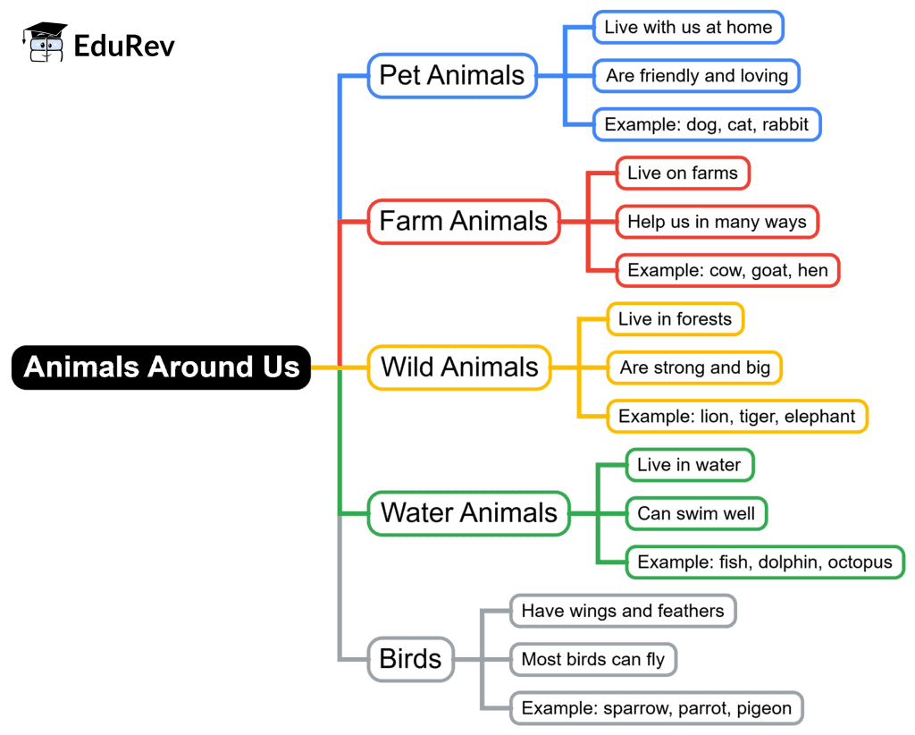 Mind Map: Animal Around Us