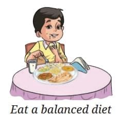 Health: The Ultimate Treasure Chapter Notes | Science Curiosity Class 8 - New NCERT