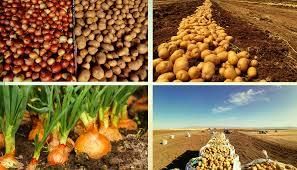 Horticulture of Telangana | Telangana State PSC (TSPSC): Preparation Course - TSPSC (Telangana)