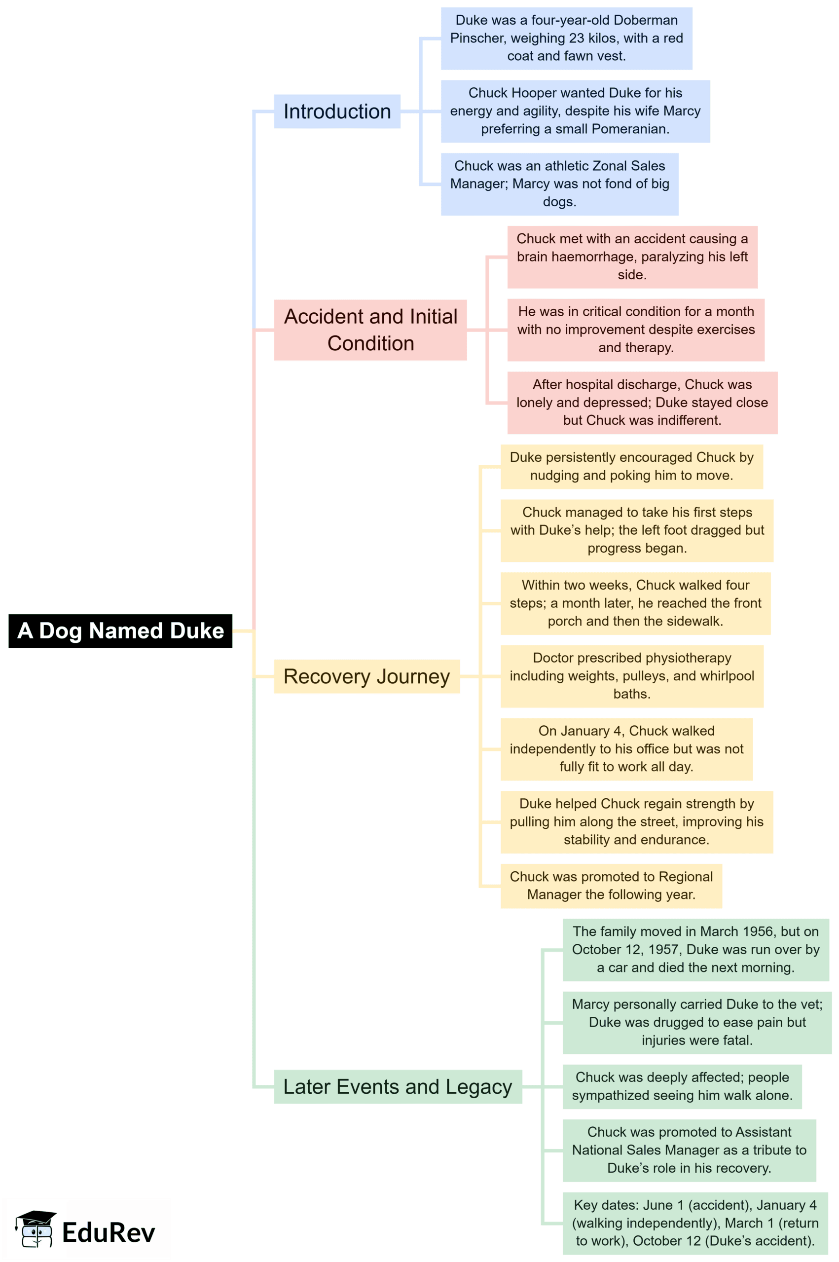 Mind Map: A Dog Named Duke