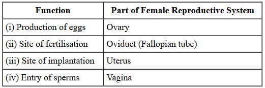 Class 10 Science Chapter 7 Previous Year Questions - How do Organisms Reproduce?