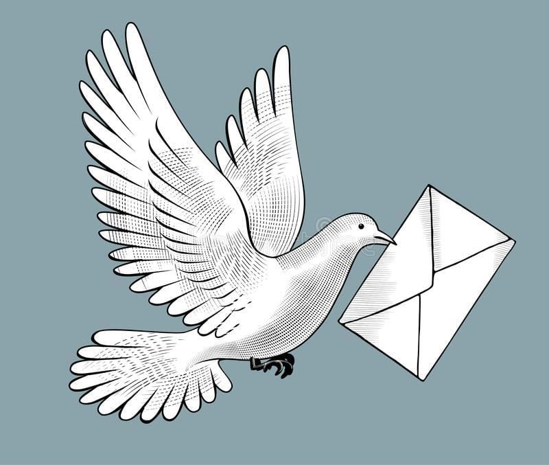 Pigeon Letter Stock Illustrations – 1,767 Pigeon Letter Stock  Illustrations, Vectors &amp; Clipart - Dreamstime