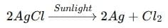 Class 10 Science Chapter 1 Previous Year Questions - Chemical Reactions and Equations