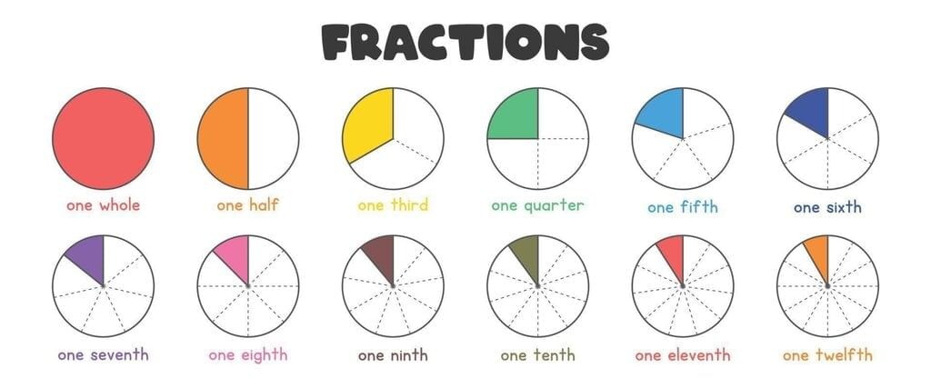 Worksheet Solutions: Fractions | Mathematics for Class 3