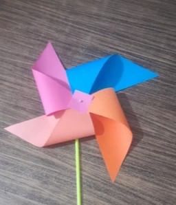 NCERT Based Activity: Nature`s Treasures | Science for Class 6