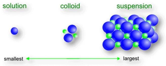 Mixture and Solution | Science Curiosity Class 8 -  New NCERT