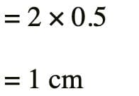 Previous Year Questions 2025