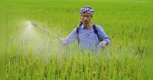 Reforming India`s Fertiliser Sector - Turning the Gulf Crisis into an Opportunity