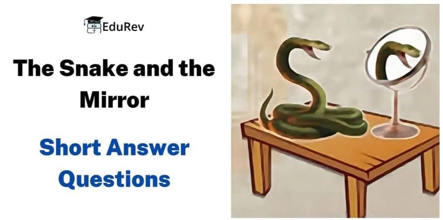 Short Answer Type Questions:- The Snake and the Mirror