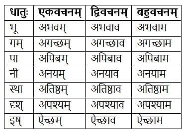 धातुरूपाणि Chapter Notes | Chapter Notes For Class 8