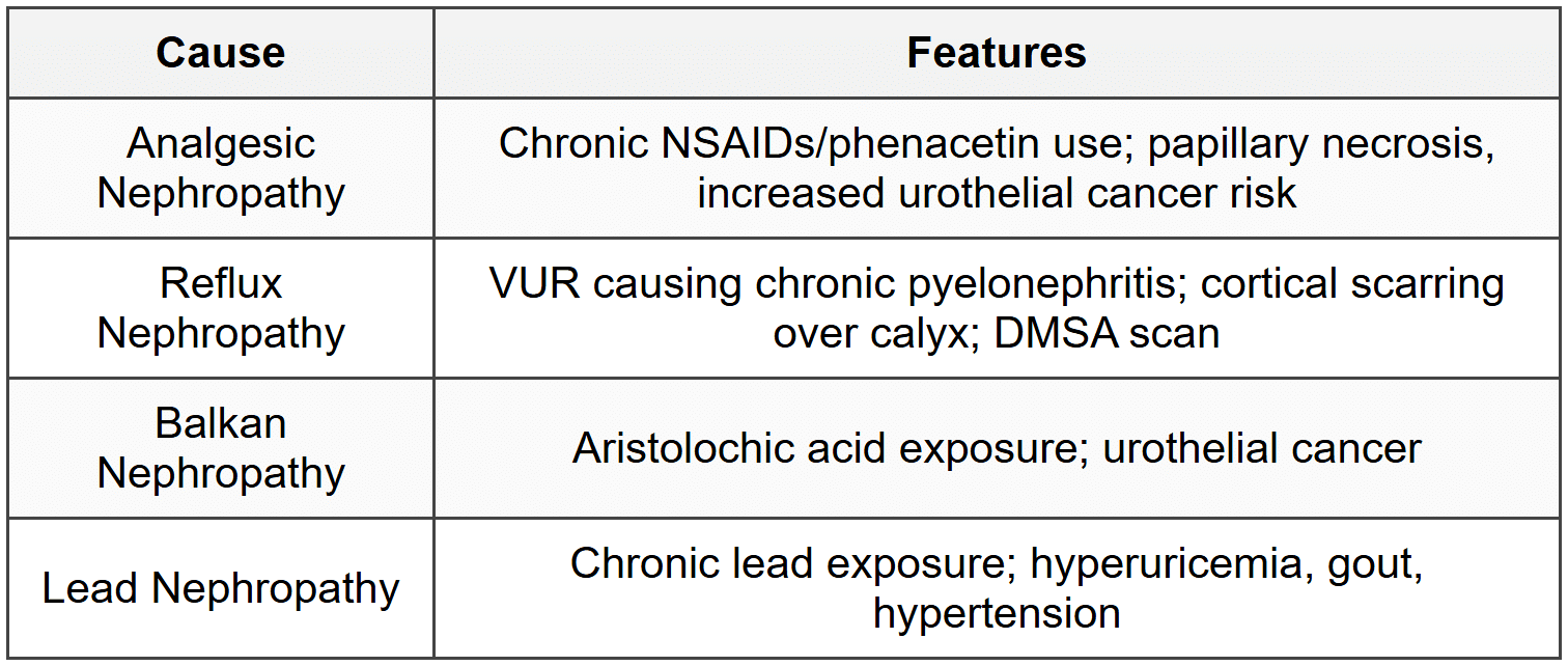 2.3 Chronic Interstitial Nephritis