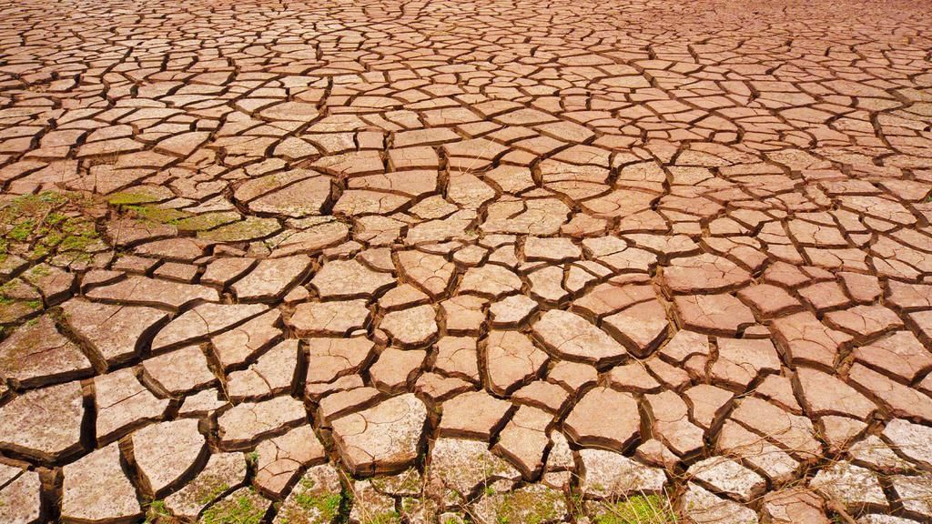 Drought
