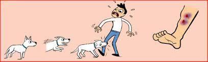 Class 5 Science - Safety and First Aid - CBSE Worksheets Solutions - 2
