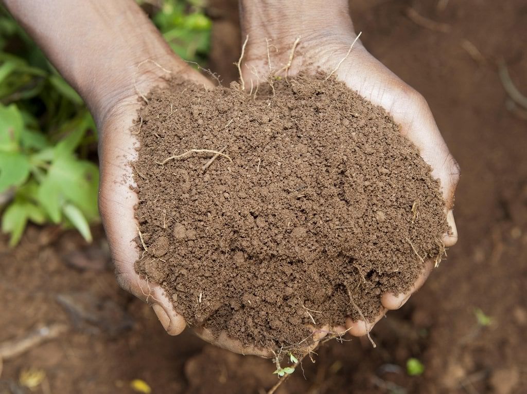 Soil