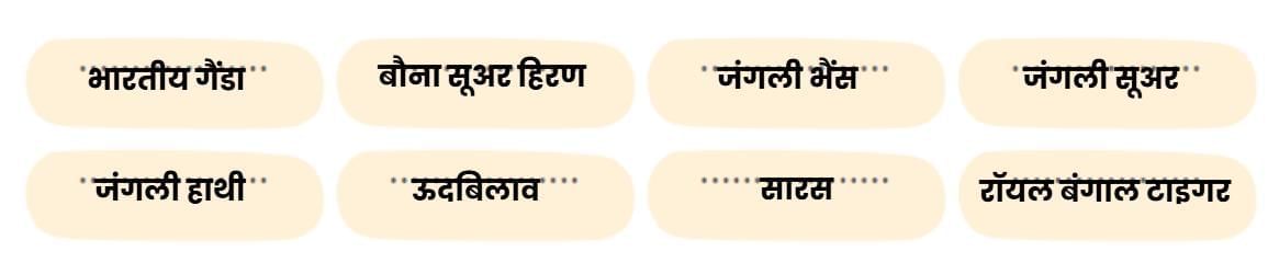 काजीरंगा राष्ट्रीय उद्यान की यात्रा NCERT Solutions | Hindi Class 5 वीणा - New NCERT