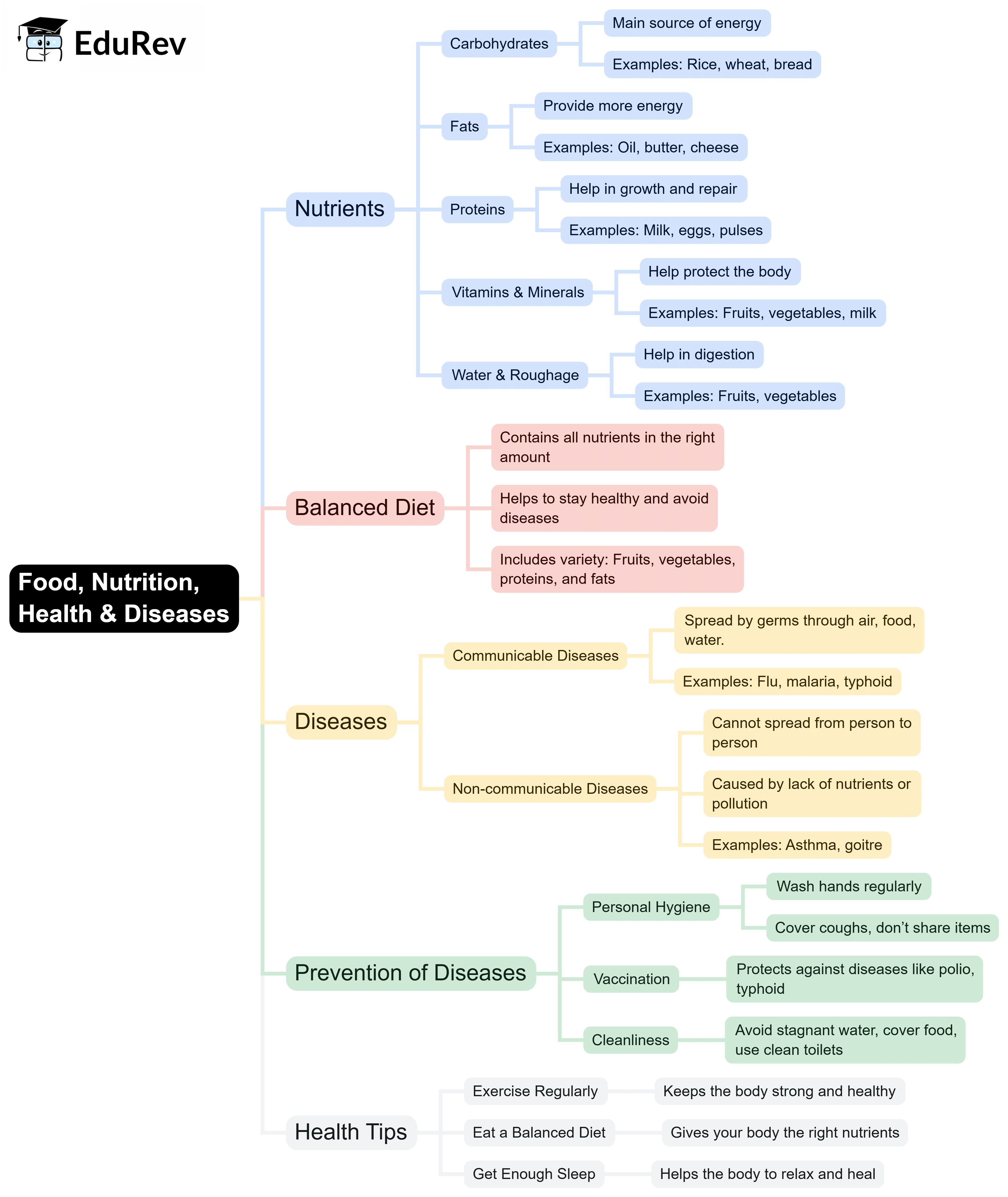 Mind Map: Food, Nutrition, Health & Diseases | Science Class 5