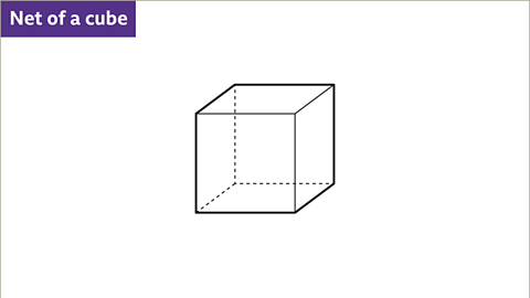 3D Shapes and Nets - Year 7