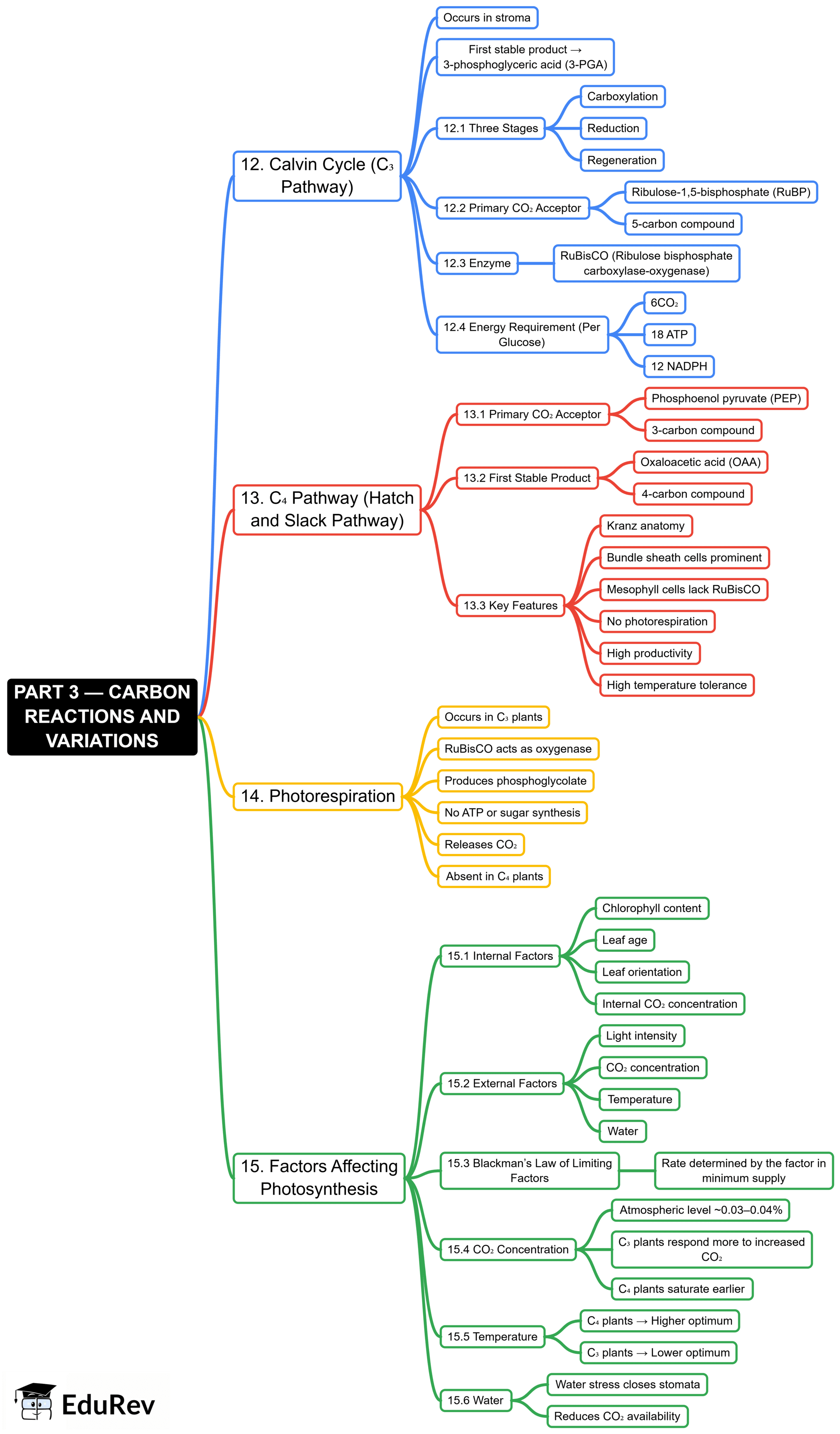Mind Map: Photosynthesis in Higher Plants