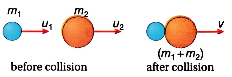 Collisions | Physics Class 11 - NEET