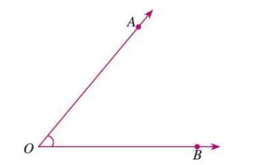 Angles Chapter Notes | Mathematics Class 6 ICSE