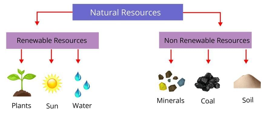 HOTS: Natural Resources and Their Use | Social Science  Class 8 - New NCERT
