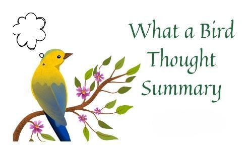 Detailed Summary: What a Bird Thought | Chapter Notes For Class 6