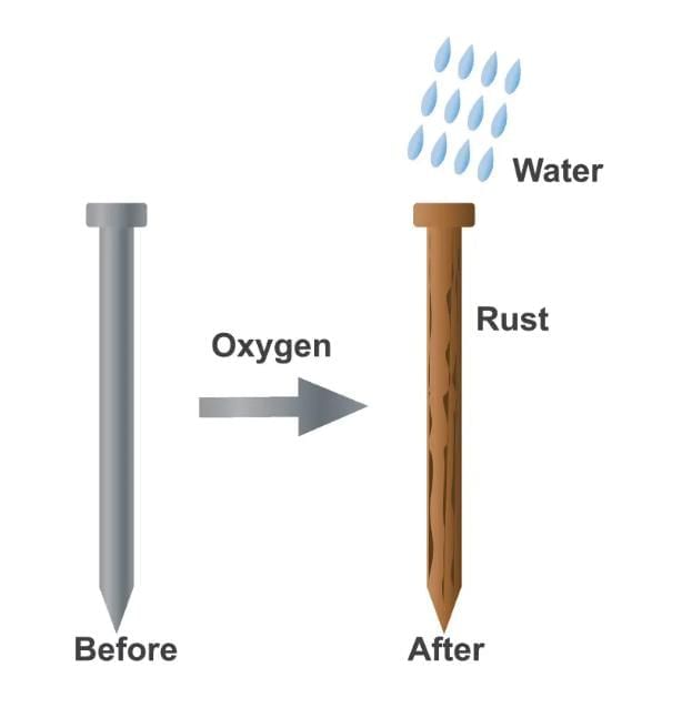 Important Questions: The World of Metals and Non-metals | Science (Curiosity) Class 7 - New NCERT