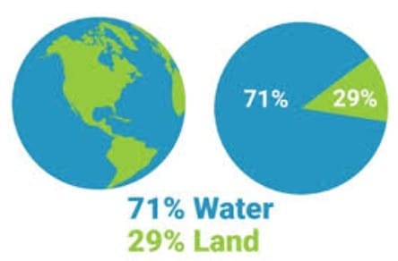 Multiple Choice Questions
