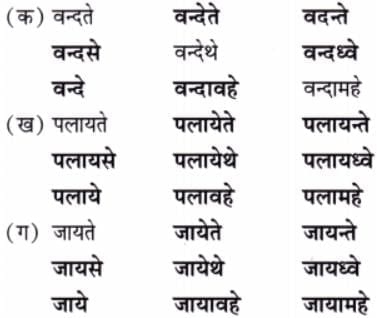 NCERT Solutions for Class 7 Sanskrit Chapter 4 न लभ्यते चेत्आम्लं द्राक्षाफलम्