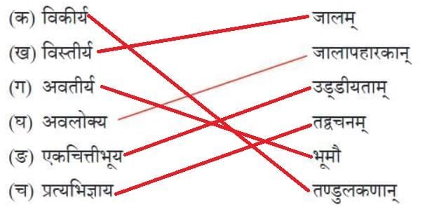 अल्पानामपि वस्तूनां संहतिः कार्यसाधिका NCERT Solutions | Sanskrit  (Deepakam) Class  8  -  New  NCERT - Class 8