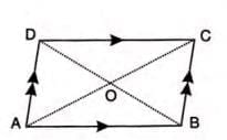 Rectilinear Figures Chapter Notes | Mathematics Class 9 ICSE