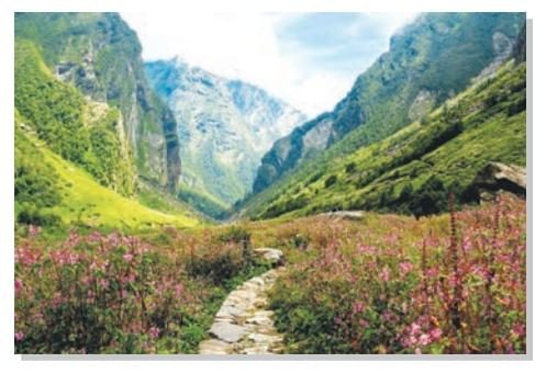 Spectacular Wonders Chapter Notes | Chapter Notes For Class 8