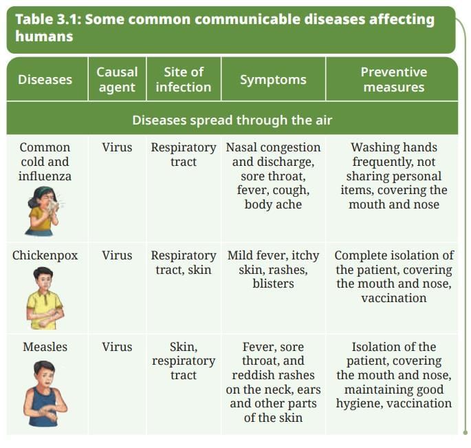 NCERT Based Activity: Health: The Ultimate Treasure | Science Curiosity Class 8 -  New NCERT