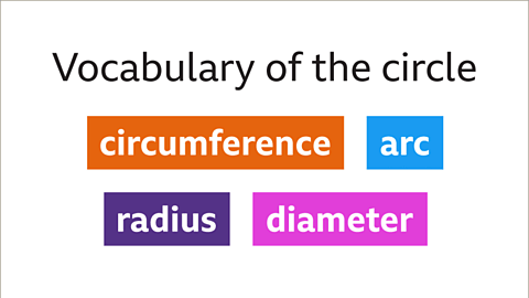 Circumference of a Circle - Year 7