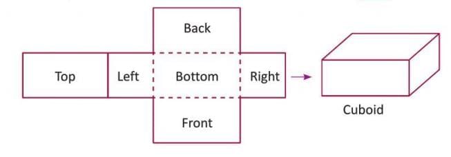 Geometry Chapter Notes | Mathematics for Grade 5