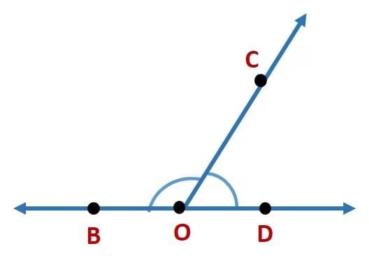 Basic Concepts in Geometry Chapter Notes | Mathematics Class 6 (SSC Board)