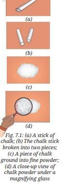 NCERT Based Activity: Particulate Nature of Matter | Science Curiosity Class 8 -  New NCERT