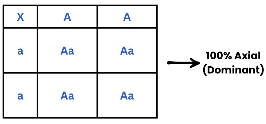 Previous Year Questions 2025